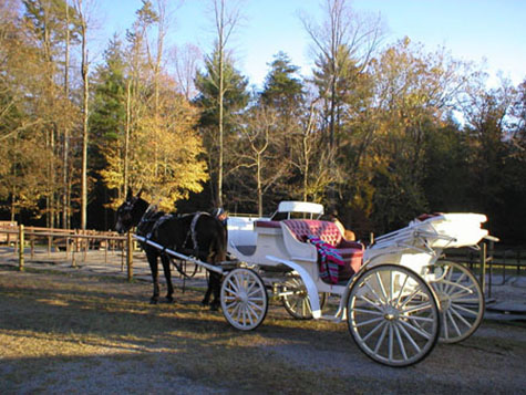 carriage rides smoky mountains