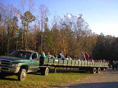 carriage rides smoky mountains