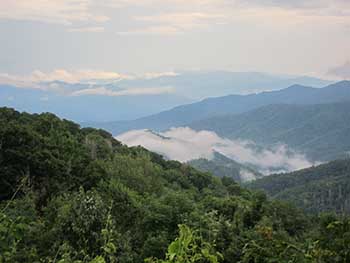 smoky mountain mist